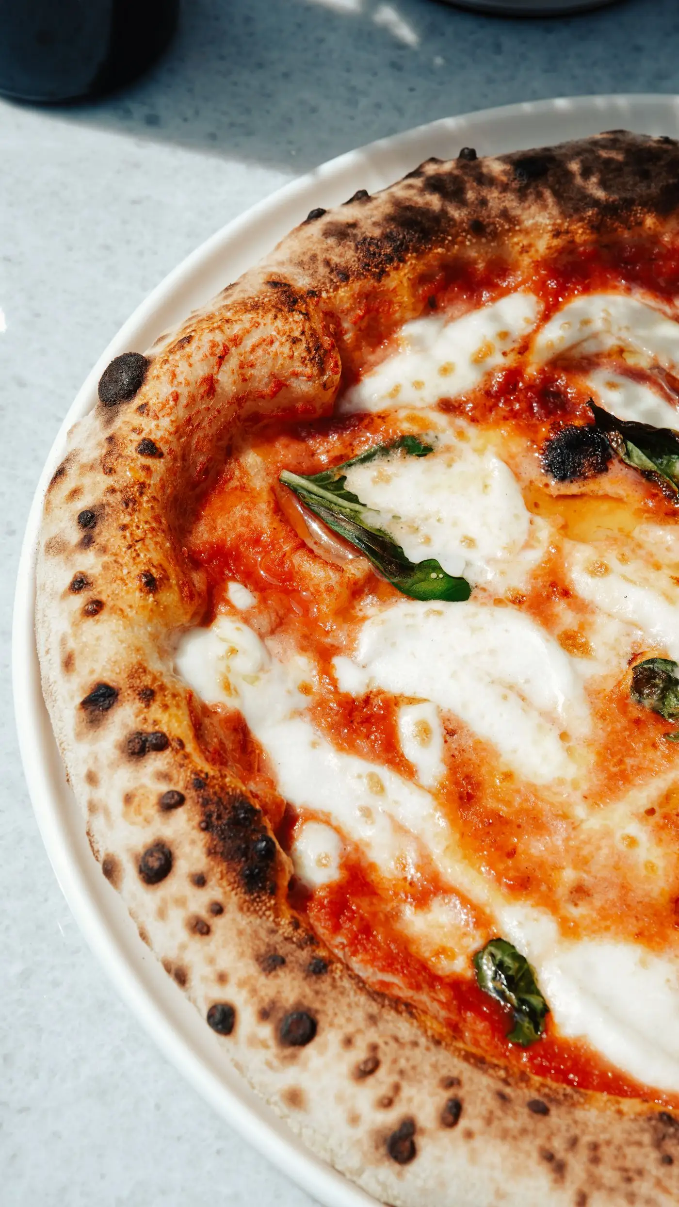 Margherita à la croûte léopardée, basilic frais